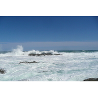 照片 南非(South Africa) 齐齐卡马国家公园(Tsitsikamma National Park) 2008-09 89