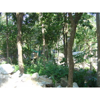 照片 泰国(Thailand) 普吉岛(Phuket) 卡塔卡伦(Kata Karon) 2005-12 0