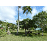 照片 新喀里多尼亚(New Caledonia) 利富岛(Lifou) 约西普(Josip) 2010-05 30