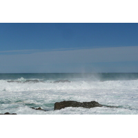 照片 南非(South Africa) 齐齐卡马国家公园(Tsitsikamma National Park) 2008-09 384