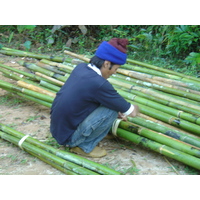 照片 泰国(Thailand) 邦玛帕(Pang Mapha) 2005-12 164
