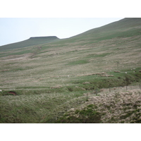 照片 英国(United Kingdom) 布雷肯比肯斯国家公园(Brecon Beacons National Park) 2006-05 49