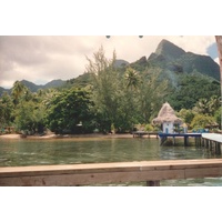 照片 波利尼西亚(Polynesia) 1993-04 72