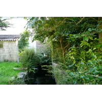 照片 法国(France) 阿旺桥(Pont Aven) 2008-07 43