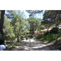 照片 法国(France) 波克罗勒岛(Porquerolles Island) 贝阿略角(Bearlieu Point) 2008-05 15