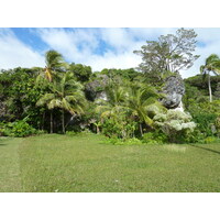 照片 新喀里多尼亚(New Caledonia) 利富岛(Lifou) 约西普(Josip) 2010-05 14