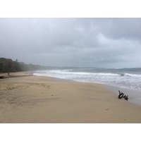 照片 哥斯达黎加(Costa Rica) 塔拉曼卡旧港(Puerto Viejo de Talamanca) 2015-03 71