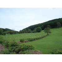 照片 英国(United Kingdom) 布雷肯比肯斯国家公园(Brecon Beacons National Park) 2006-05 33