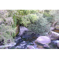 照片 法国(France) 阿旺桥(Pont Aven) 2008-07 18