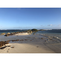 照片 瓜德罗普(Guadeloupe) 卡拉维尔海滩(La Caravelle Beach) 2021-02 162