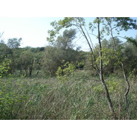 照片 法国(France) 维尔讷夫卢贝(Villeneuve Loubet) 沃格勒尼耶公园(Parc de Vaugrenier) 2006-09 5