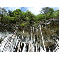照片 新喀里多尼亚(New Caledonia) 利富岛(Lifou) 约西普(Josip) 2010-05 9