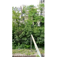 照片 法国(France) 巴黎(Paris) 第十七区(17th Arrondissement) 佩雷尔大道(Boulevard Pereire) 2007-05 40