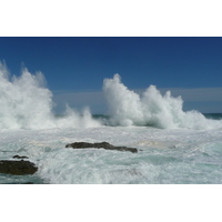 照片 南非(South Africa) 齐齐卡马国家公园(Tsitsikamma National Park) 2008-09 96