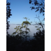 照片 泰国(Thailand) 邦玛帕(Pang Mapha) 2005-12 180