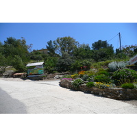照片 法国(France) 波克罗勒岛(Porquerolles Island) 波克罗勒港(Porquerolles harbour) 2008-05 41