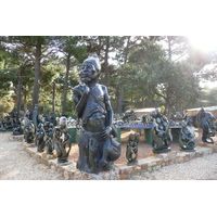 照片 南非(South Africa) 好望角(Cape of Good Hope) 2008-09 25