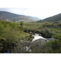 照片 爱尔兰(Ireland) 凯里郡(Kerry) 基拉尼国家公园(Killarney National Park) 2004-05 31