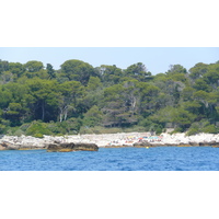 照片 法国(France) 昂蒂布角(Cap d'Antibes) 加鲁普湾(Anse de la garoupe) 2007-07 18