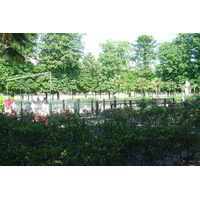照片 法国(France) 巴黎(Paris) 杜乐丽花园(Garden of Tuileries) 2007-05 53