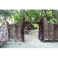 照片 塞舌尔(Seychelles) 普拉兰岛(Praslin) 2011-10 188