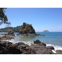 照片 哥斯达黎加(Costa Rica) 曼努埃尔安东尼奥(Manuel Antonio) 2015-03 66