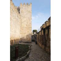 照片 葡萄牙(Portugal) 里斯本(Lisbon) 2013-01 312
