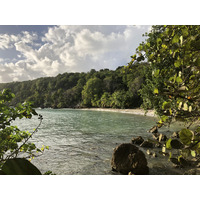 照片 瓜德罗普(Guadeloupe) 小阿弗尔海滩(Petit Havre Beach) 2021-02 12