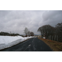 照片 法国(France) 奥布拉克(L'Aubrac) 2008-04 25