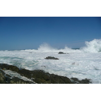 照片 南非(South Africa) 齐齐卡马国家公园(Tsitsikamma National Park) 2008-09 436
