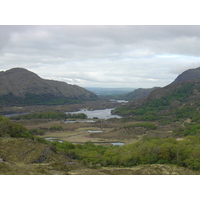 照片 爱尔兰(Ireland) 凯里郡(Kerry) 基拉尼国家公园(Killarney National Park) 2004-05 43