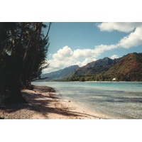照片 波利尼西亚(Polynesia) 莫雷阿岛(Moorea) 1993-04 34