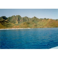 照片 波利尼西亚(Polynesia) 莫雷阿岛(Moorea) 1993-04 39