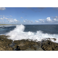 照片 瓜德罗普(Guadeloupe) 城堡角(Castle Point) 2021-02 193