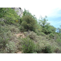 照片 法国(France) 旺斯(Vence) 巴乌山(Baou) 2006-06 86
