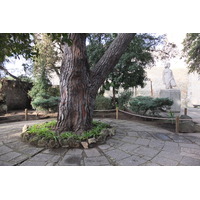 照片 葡萄牙(Portugal) 里斯本(Lisbon) 2013-01 351