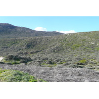 照片 南非(South Africa) 好望角(Cape of Good Hope) 开普角(Cape Point) 2008-09 97
