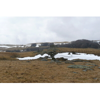 照片 法国(France) 奥布拉克(L'Aubrac) 2008-04 15