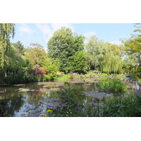 照片 法国(France) 吉维尼(Giverny) 2013-06 92