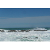 照片 南非(South Africa) 齐齐卡马国家公园(Tsitsikamma National Park) 2008-09 290