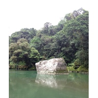 照片 哥斯达黎加(Costa Rica) 帕夸雷河(Pacuare River) 2015-03 214