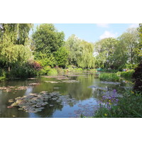 照片 法国(France) 吉维尼(Giverny) 2013-06 119