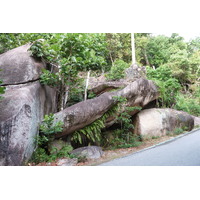 照片 塞舌尔(Seychelles) 普拉兰岛(Praslin) 2011-10 11