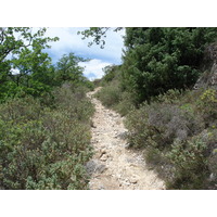 照片 法国(France) 旺斯(Vence) 巴乌山(Baou) 2006-06 96