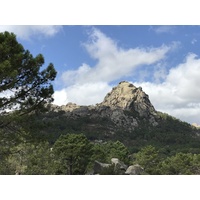 照片 法国(France) 科西嘉岛(Corsica) 奥斯佩达莱森林(L'ospedale Forest) 2017-09 0