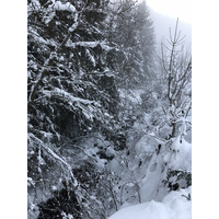 照片 法国(France) 拉克吕萨(La Clusaz) 2017-12 254
