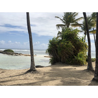 照片 瓜德罗普(Guadeloupe) 卡拉维尔海滩(La Caravelle Beach) 2021-02 117
