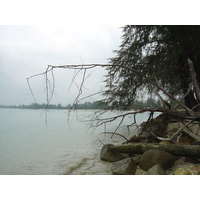 照片 泰国(Thailand) 考拉(Khao Lak) 邦萨海滩(Bang Sak Beach) 2005-12 83