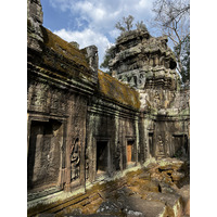照片 柬埔寨(Cambodia) 暹粒(Siem Reap) 塔布茏寺(Ta Prohm) 2023-01 118
