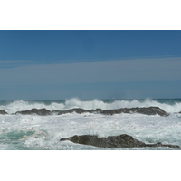 照片 南非(South Africa) 齐齐卡马国家公园(Tsitsikamma National Park) 2008-09 241